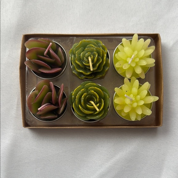 None Other - Set of Succulent Shaped tea light candles - 6pk